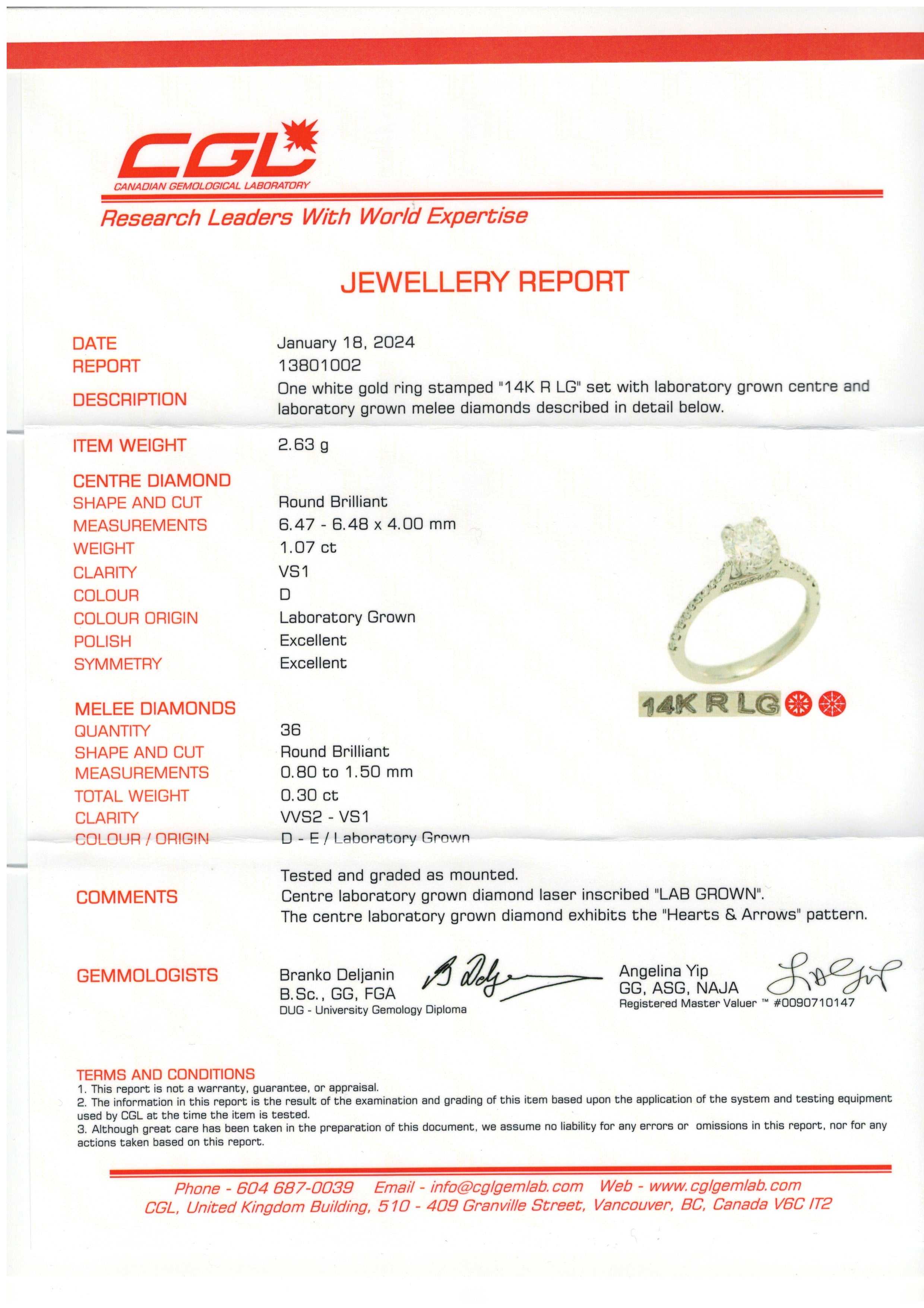 1.07CT Round Brilliant Cut Lab Diamond Micro Pavé Ring